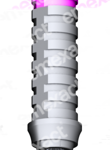 provisional rotatorio nobel active np