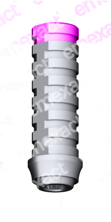 provisional rotatorio nobel active np
