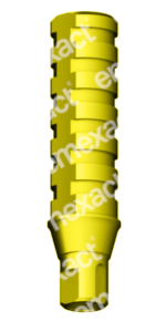 provisional antirrotatorio bone level nc